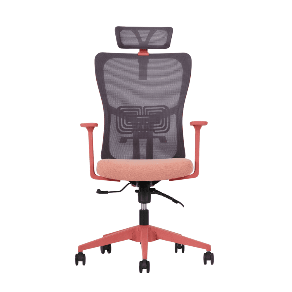 Lumbar Fileli Koltuk – Somon Lumbar Fileli Koltuk - Görsel 1